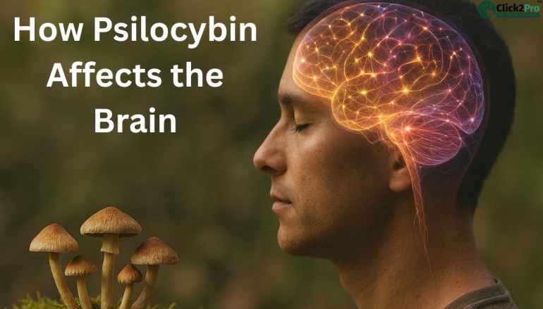 Psilocybin effects on the brain visualized on a person's head with mushroom imagery