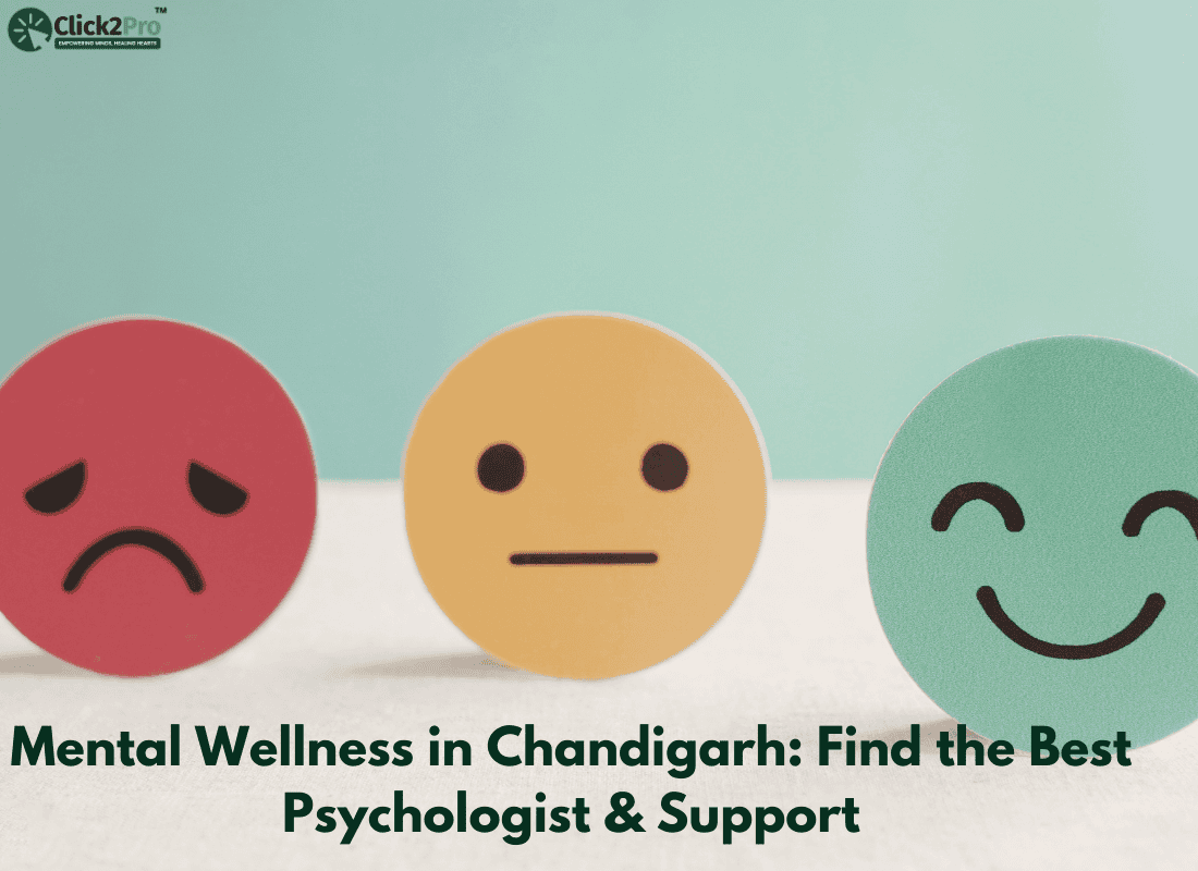 Mental Wellness in Chandigarh Find the Best Psychologist & Support