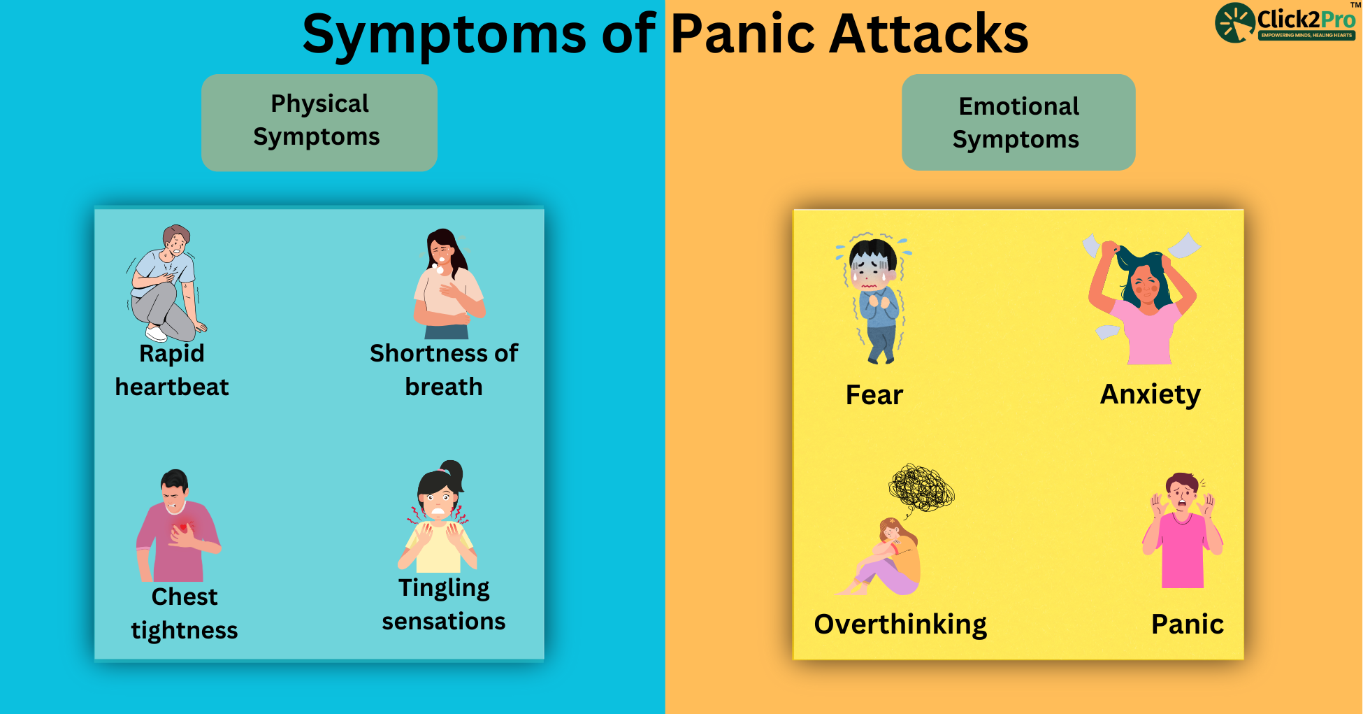 Symptoms of panic attacks—physical (rapid heartbeat, shortness of breath) and emotional (fear, anxiety).