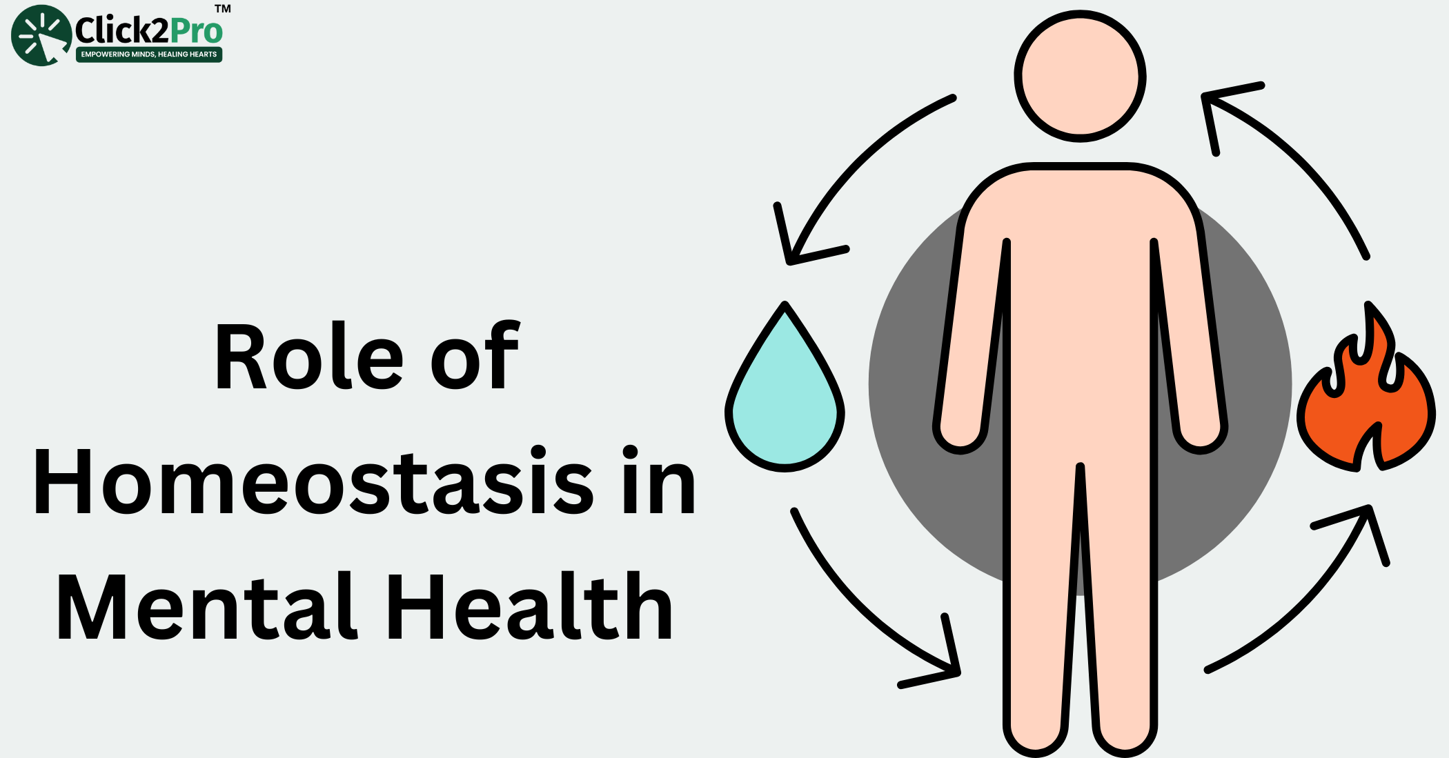 Role of homeostasis in mental health - maintaining emotional balance for well-being | Click2Pro