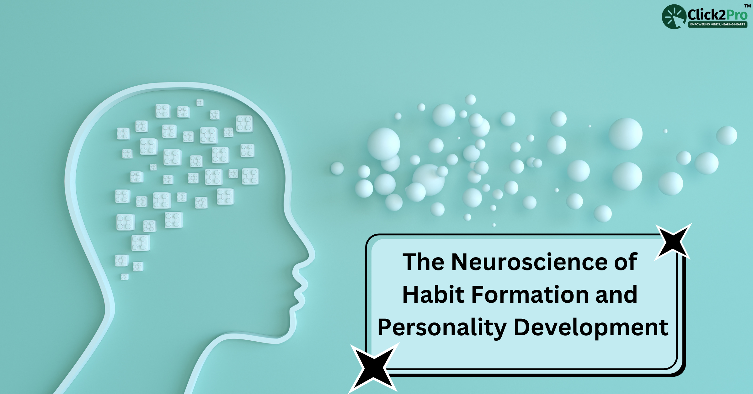 The Neuroscience of Habit Formation and Personality Development - Click2Pro Mental Health Guide.