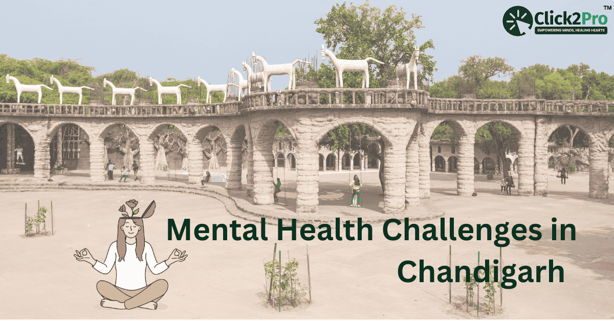 Rock Garden of Chandigarh with text 'Mental Health Challenges in Chandigarh' featuring Click2Pro.