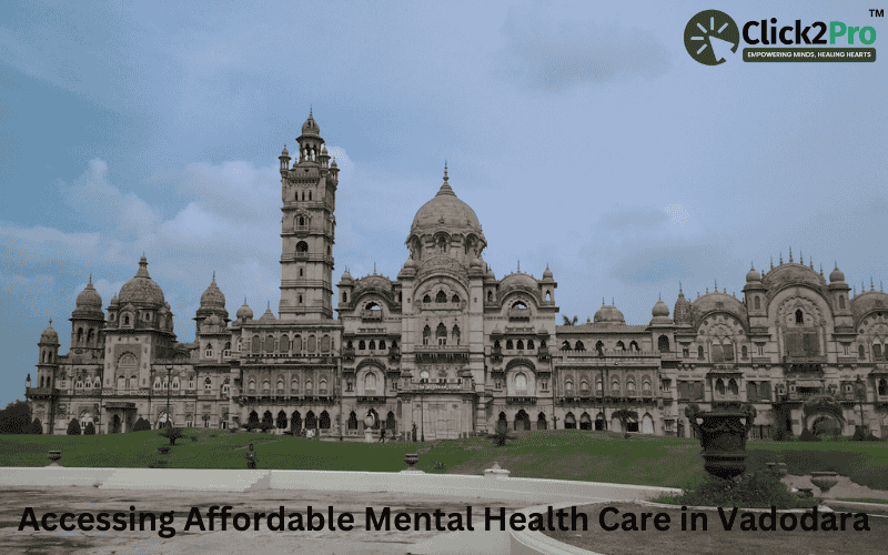 Accessing Affordable Mental Health Care in Vadodara