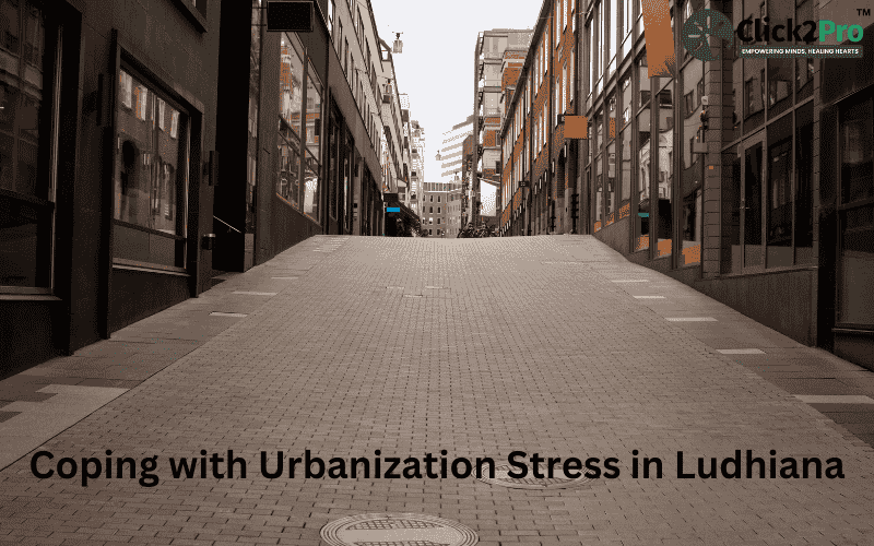 Coping with Urbanization Stress in Ludhiana