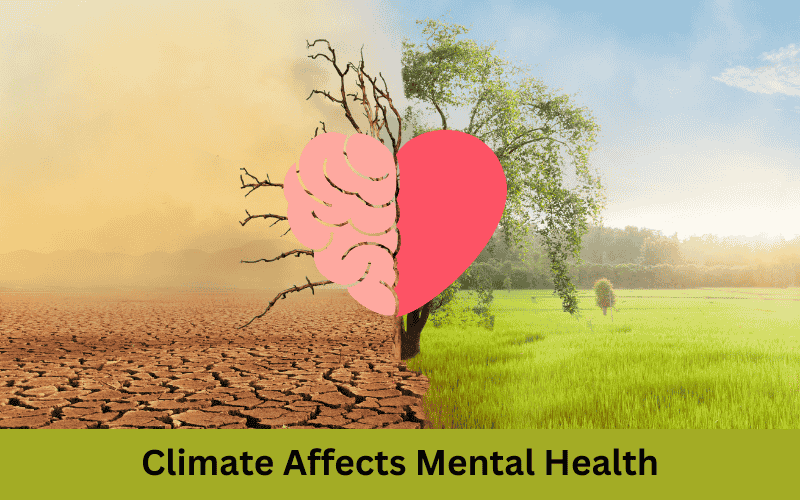 How Dehradun’s Climate Affects Mental Health