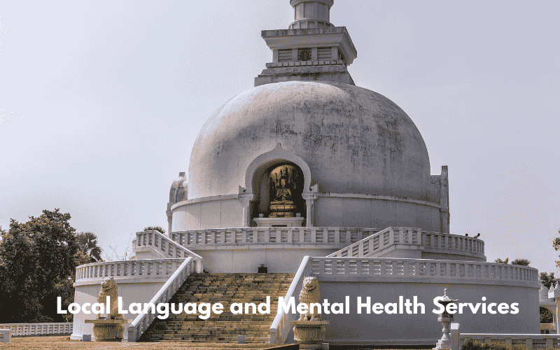 Local Language and Mental Health Services