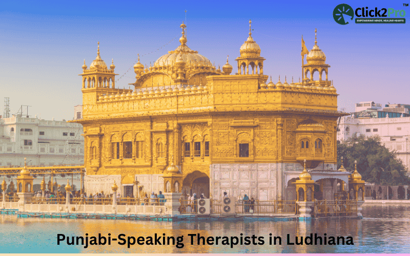 Punjabi-Speaking Therapists in Ludhiana