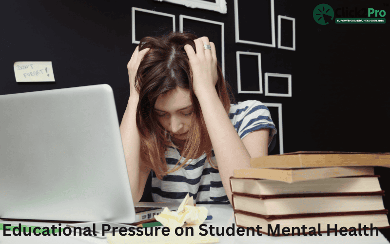 The Influence of Raipur's Educational Pressure on Student Mental Health