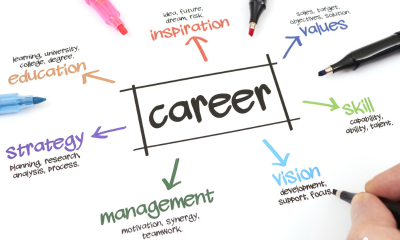 Career Counselling for Professionals in Allahabad