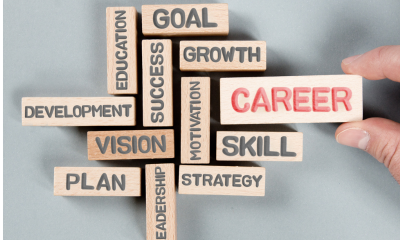 Career Development Counselling
