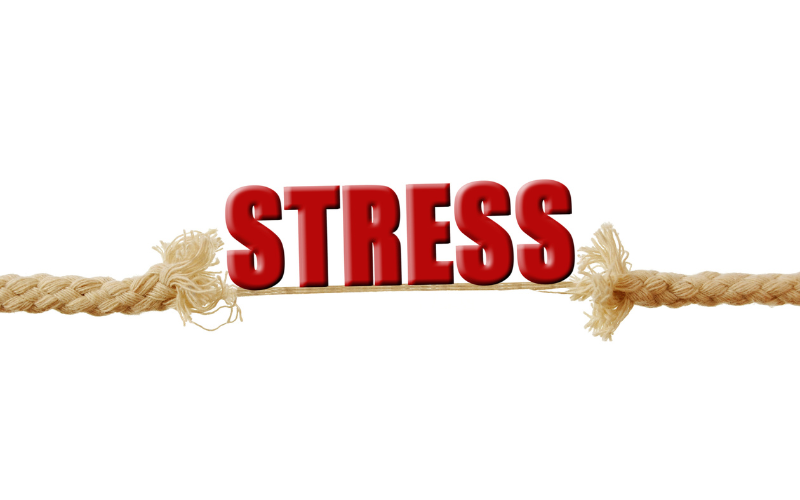 Effective Stress Management Counselling in Kanpur