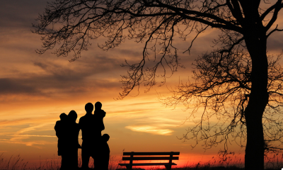 Family Counselling in Warangal