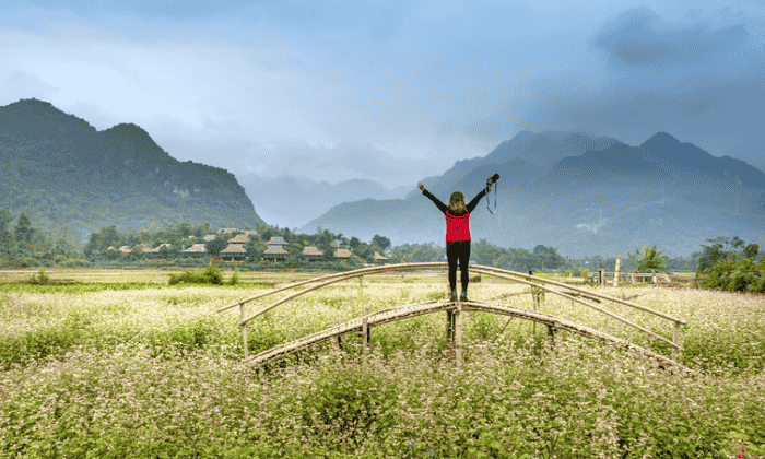 Personal Growth Counselling